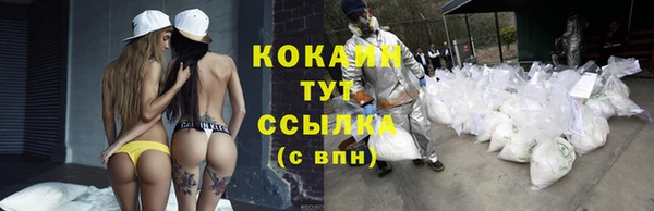 скорость Богданович