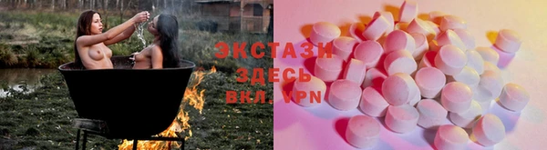 ECSTASY Богородск