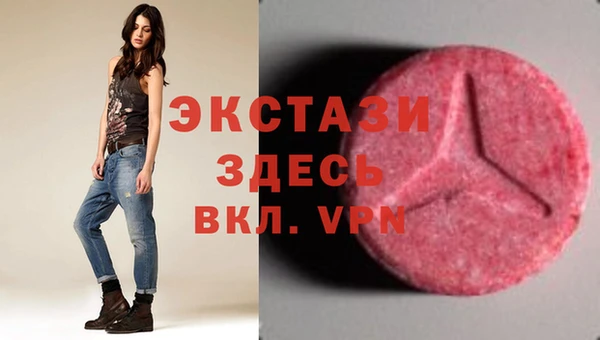 ECSTASY Богородск
