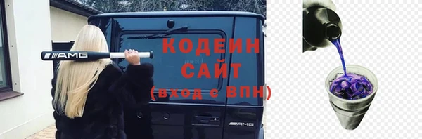 ECSTASY Богородск