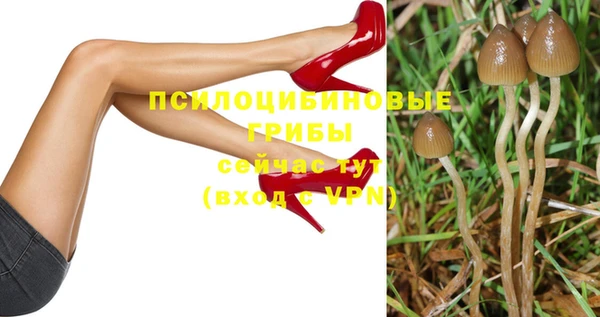 скорость Богданович